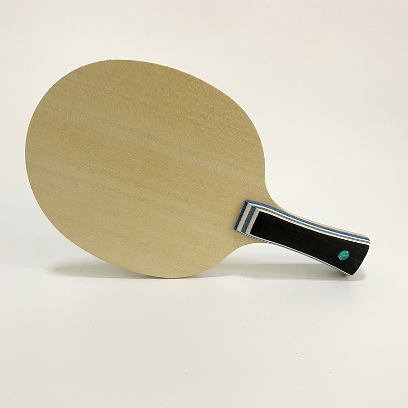 Lemuria VIS Carbon Fiber Tafel - Stiga Carbon Blade recensie en prijs