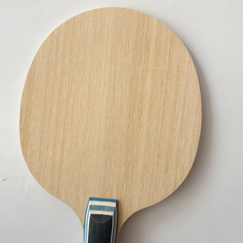 Lemuria VIS Carbon Fiber Tafel - Stiga Carbon Blade recensie en prijs