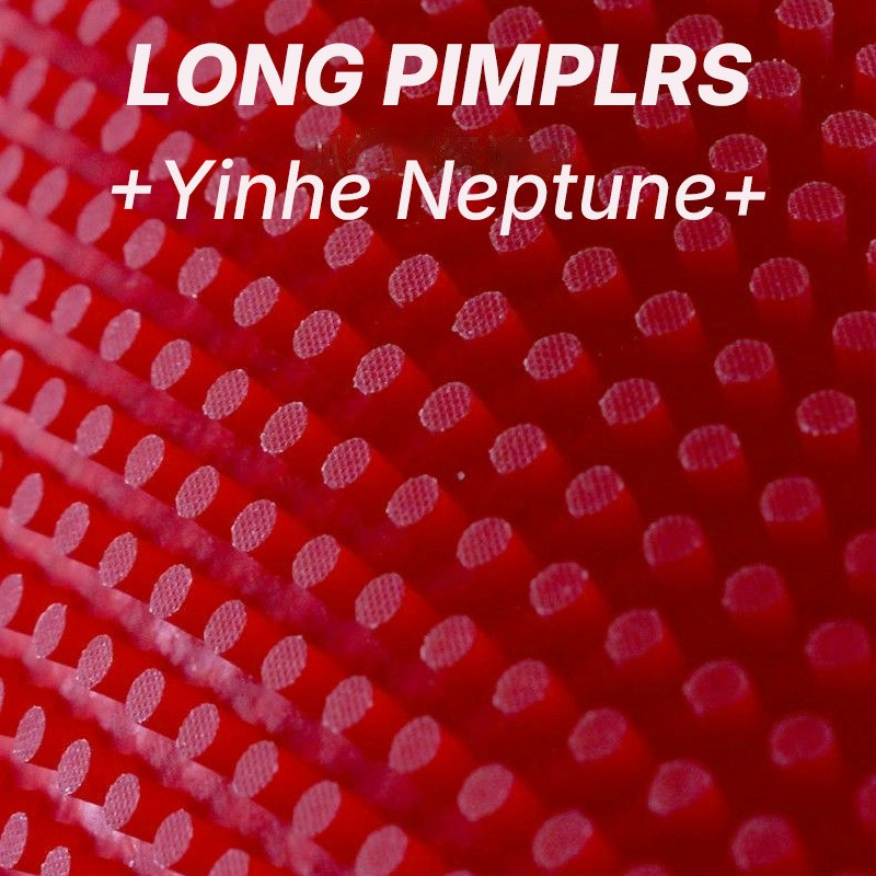 YINHE NEPTUNE Tafeltennisrubbe - Table Tennis Defense recensie en prijs