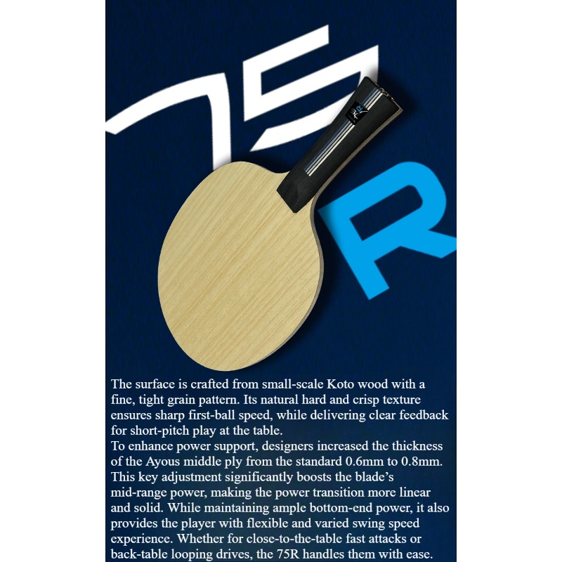 SANWEI 75R 5+2 Buitenste H-GLC - Table Tennis Blade recensie en prijs